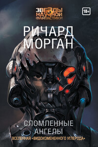 Сломленные ангелы - Ричард К Морган