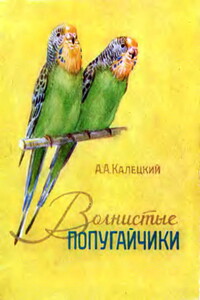 Волнистые попугайчики - Андрей Александрович Калецкий