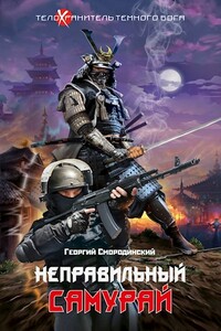 Неправильный самурай - Георгий Георгиевич Смородинский