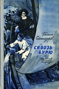 Сквозь бурю - Галым Джамалович Сейтназаров