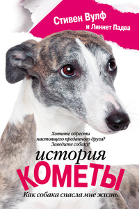 История Кометы - Стивен Вулф, Линнет Падва