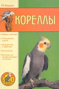 Кореллы - Ирина Николаевна Некрасова