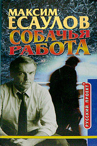 Мгновения капитана Громова - Максим Есаулов