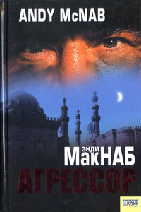 Агрессор - Энди Макнаб