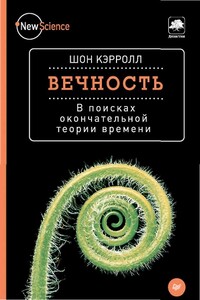 Вечность. В поисках окончательной теории времени - Шон Майкл Кэрролл