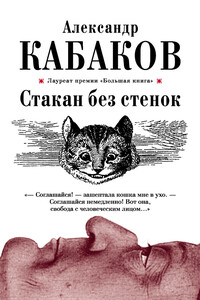 Стакан без стенок - Александр Абрамович Кабаков