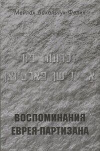 Воспоминания еврея-партизана - Мейлах Бакальчук-Фелин