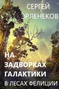 В лесах Фелиции - Сергей Сергеевич Эрленеков