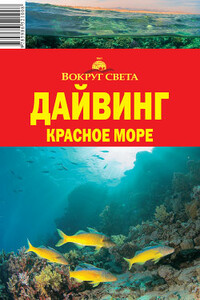Дайвинг. Красное море - Андрей С Рянский