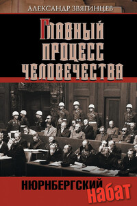 Нюрнбергский набат - Александр Григорьевич Звягинцев