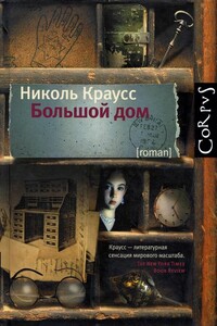 Большой дом - Николь Краусс