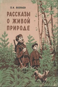 Рассказы о живой природе - Петр Иванович Яковлев