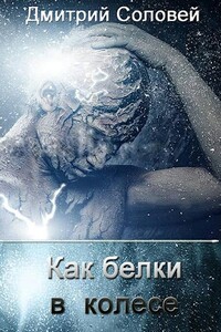 Как белки в колесе - Дмитрий Соловей