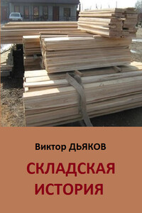 Складская история - Виктор Елисеевич Дьяков