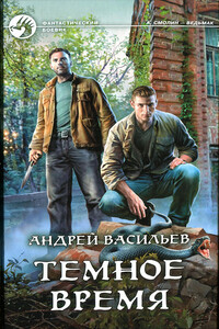 Темное время - Андрей Александрович Васильев