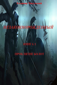 Незаконнорожденный. Книга 1. Проклятие болот - Владимир Вячеславович Микульский