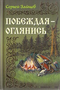 Побеждая — оглянись - Сергей Михайлович Зайцев