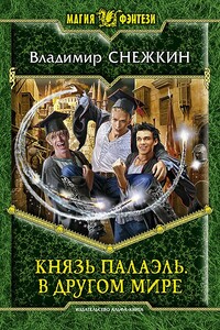 В другом мире - Владимир Евгеньевич Снежкин