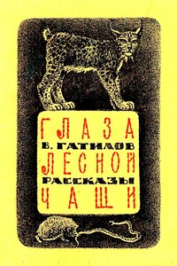 Глаза лесной чащи - Виталий Васильевич Гатилов