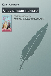 Счастливое пальто - Юлия Владимировна Климова