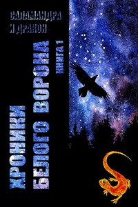 Записки кельды - Саламандра и Дракон