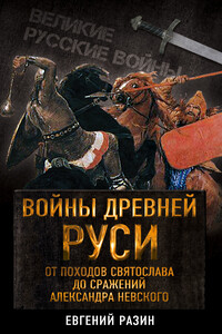 Войны Древней Руси. От походов Святослава до сражения Александра Невского - Евгений Андреевич Разин