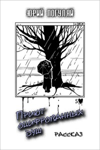 Приют оцифрованных душ - Юрий Александрович Погуляй