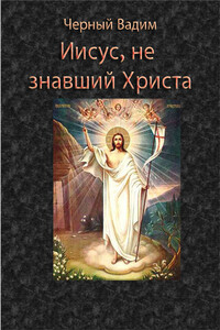 Иисус, не знавший Христа - Вадим Черный
