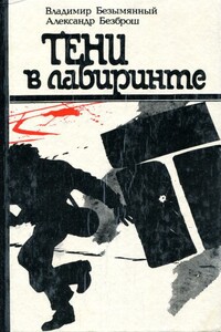 Тени в лабиринте - Владимир Михайлович Безымянный, Александр Семенович Безброш