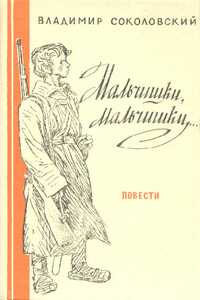 Мальчишки, мальчишки... - Владимир Григорьевич Соколовский
