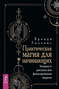 Практическая магия для начинающих. Техники и ритуалы для фокусирования энергии - Брэнди Уильямс