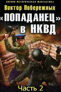 «Попаданец» в НКВД. Горячий июнь 1941-го — 2 - Виктор Побережных