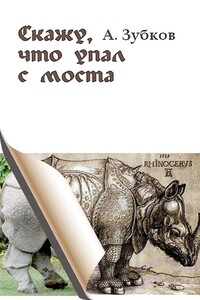Скажу, что упал с моста - Алексей Вячеславович Зубков