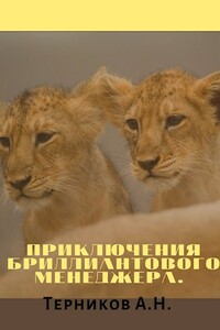Приключения бриллиантового менеджера - Александр Николаевич Терников