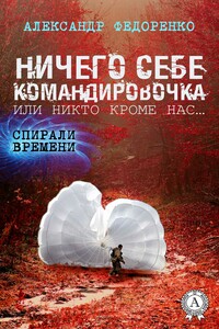 Ничего себе командировочка, или Никто кроме нас - Александр Владимирович Федоренко