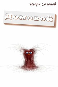 Домовой - Игорь Солопов