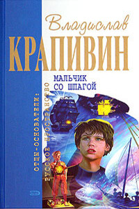 Мальчик со шпагой - Владислав Петрович Крапивин