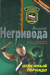 Огненный торнадо - Андрей Алексеевич Негривода