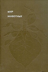 Мир животных. Насекомые - Игорь Иванович Акимушкин