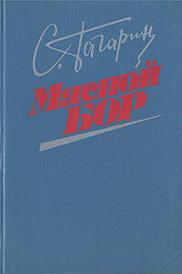 Мясной Бор - Станислав Семенович Гагарин