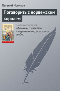 Поговорить с норвежским королем - Евгений Борисович Новиков