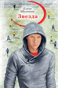 Звезда - Елена Алексеевна Шолохова