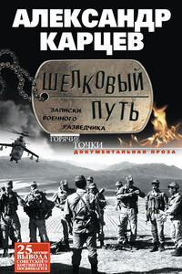 Шелковый путь - Александр Иванович Карцев