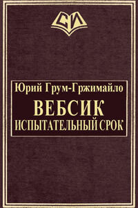 Вебсик. Испытательный срок