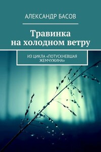 Травинка на холодном ветру - Александр Юрьевич Басов