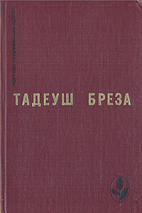 Лабиринт - Тадеуш Бреза