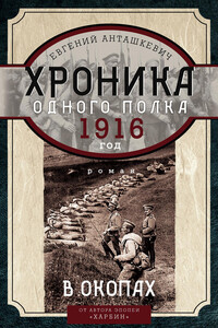 Хроника одного полка. 1916 год. В окопах - Евгений Михайлович Анташкевич