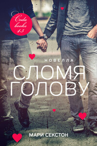 Сломя голову - Мари Секстон