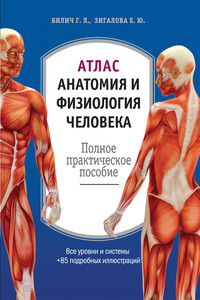 Атлас: анатомия и физиология человека - Габриэль Лазаревич Билич, Елена Юрьевна Зигалова