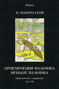 Приключения мальчика меньше пальчика - Михаил Васильевич Новорусский